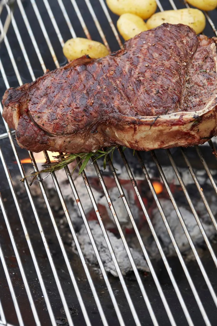 Barbecook Junko grillrist krom