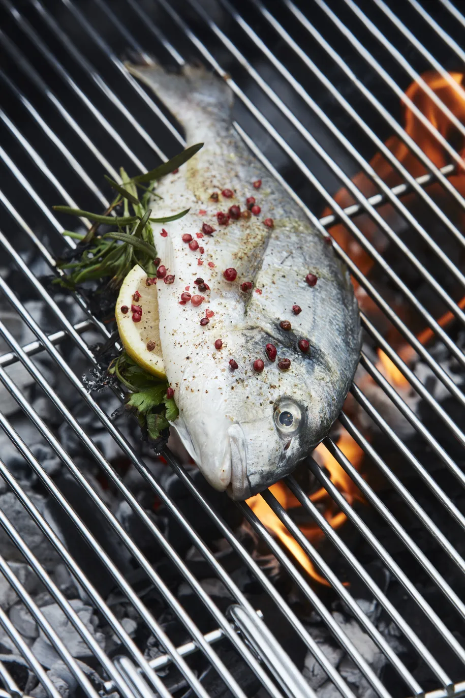 Barbecook Loewy 50 kullgrill 50 cm kull