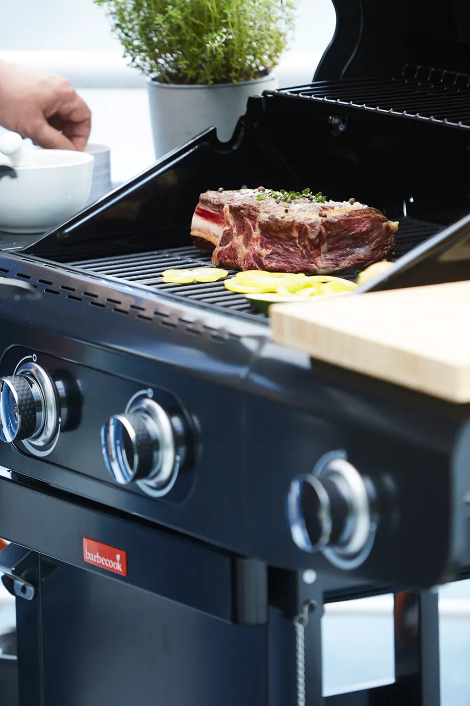 Barbecook Siesta 210 Graphite gassgrill