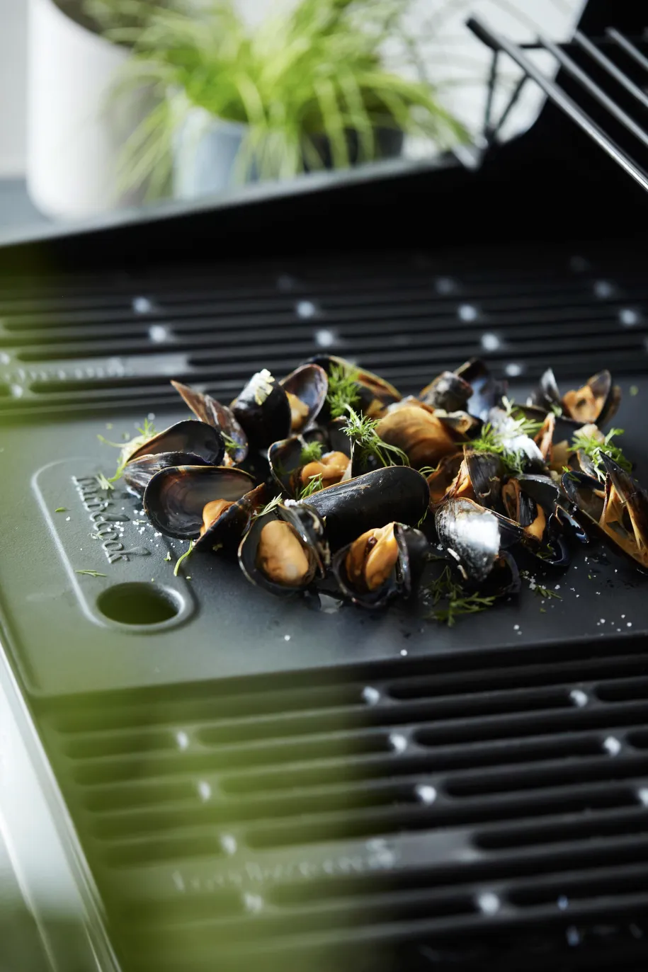 Barbecook Brahma stekeplate