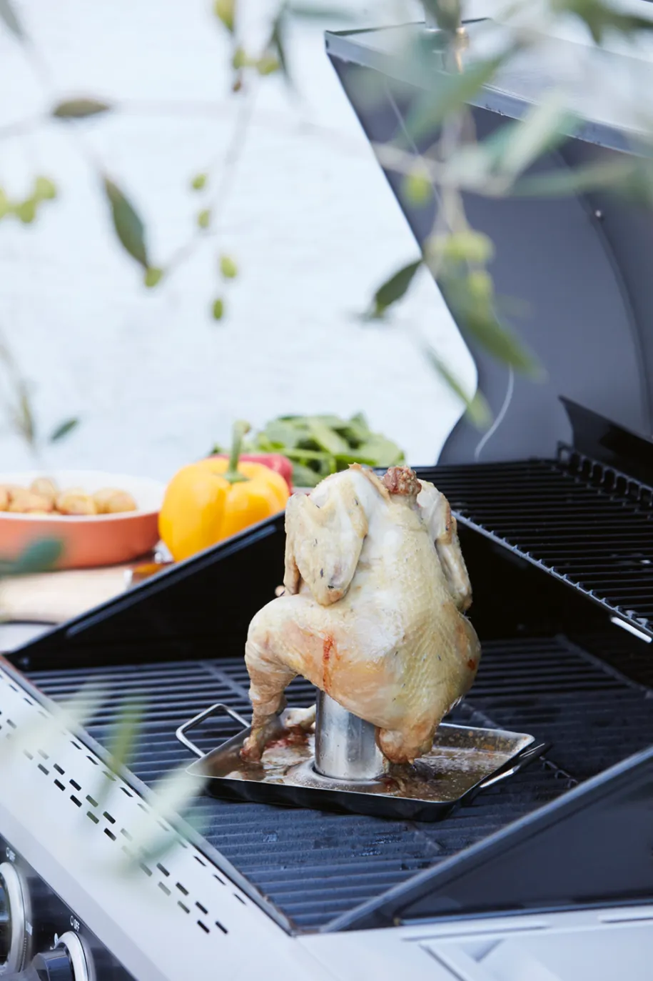 Barbecook kyllingholder til grill
