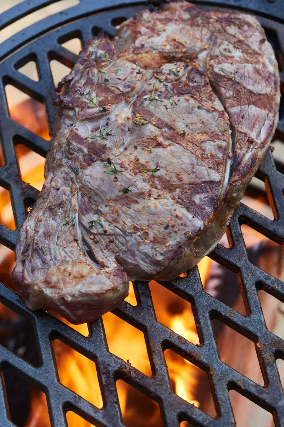 Barbecook Dynamic Centre sear-rist Ø36 cm til grill