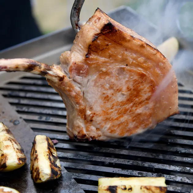 Kasai Konro Grill 50/50-plancha Nano Kasai i rustfritt stål
