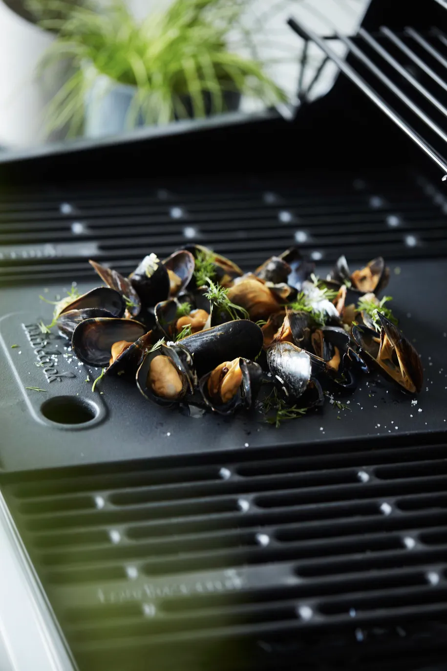 Barbecook Brahma stekeplate