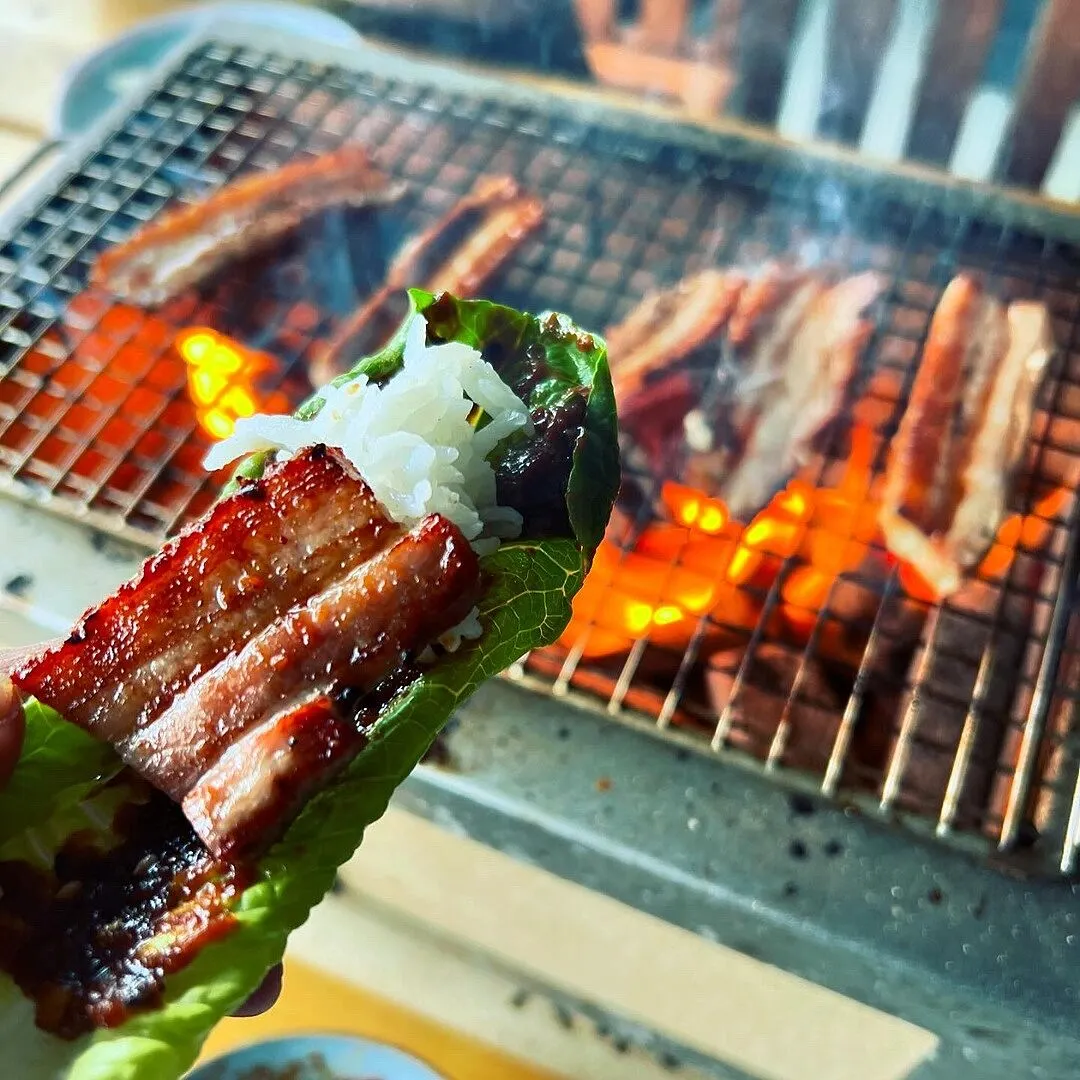 Kasai flate grillspyd i rustfritt stål 6 stk