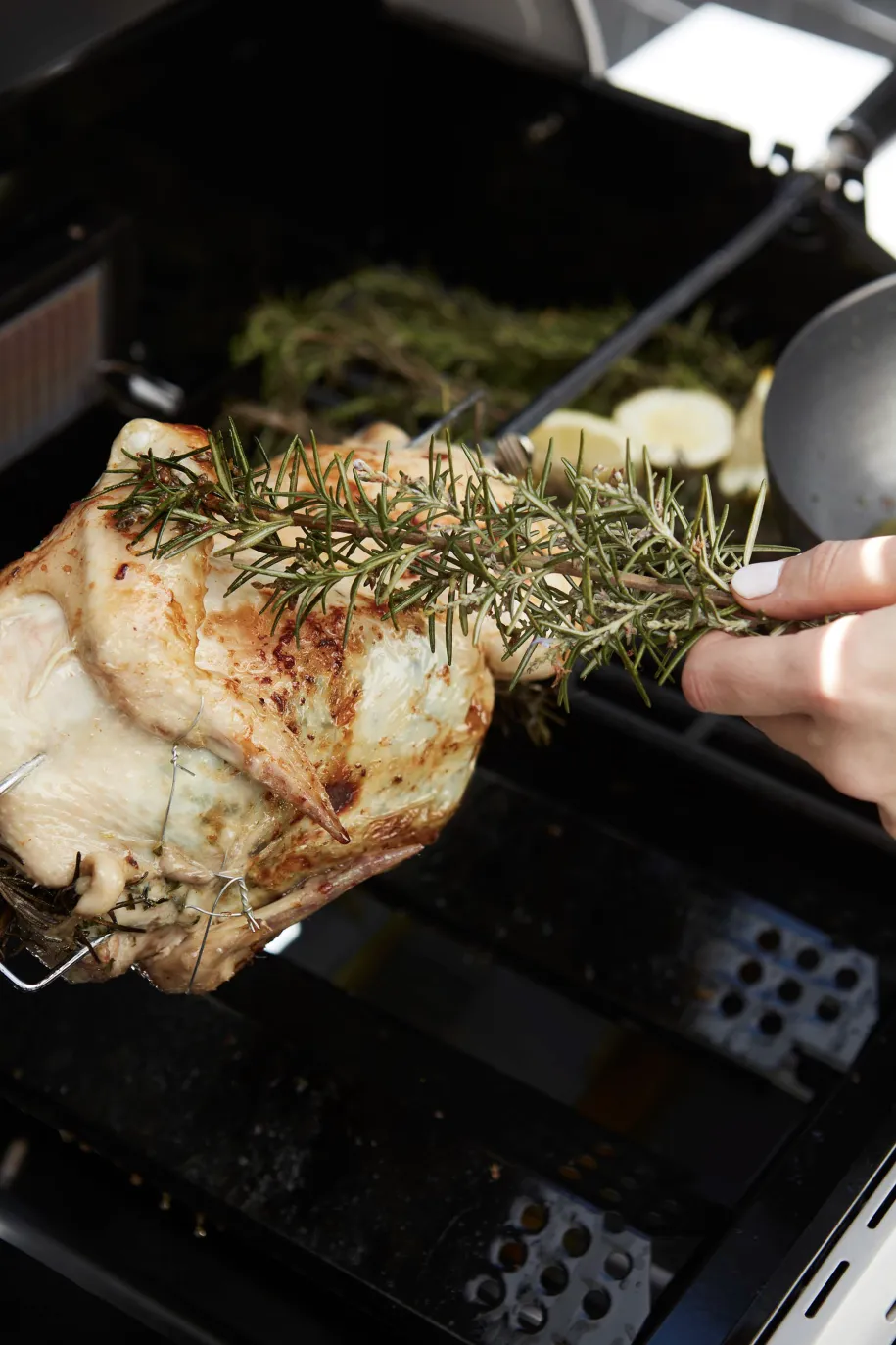 Barbecook grillspyd med 2 gafler og motor til kullgrill