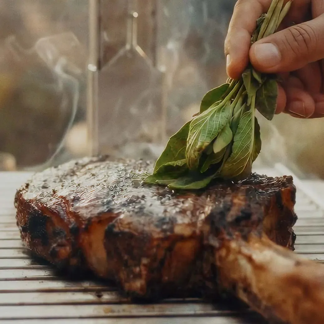 Kasai Konro Asado Grill Top grilltopp Little Kasai justerbar grillhøyde