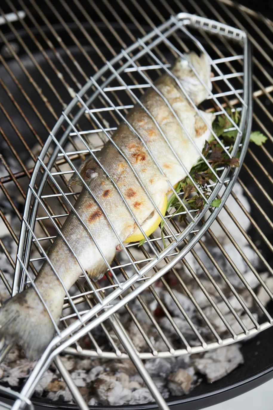 Barbecook Fish grill fiskerist FSC