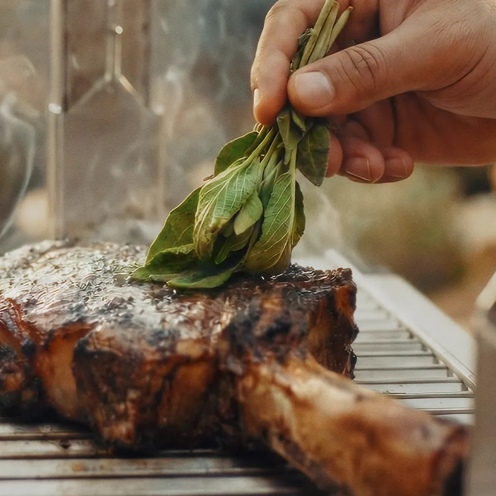 Kasai Grills Master Training Class grillkurs