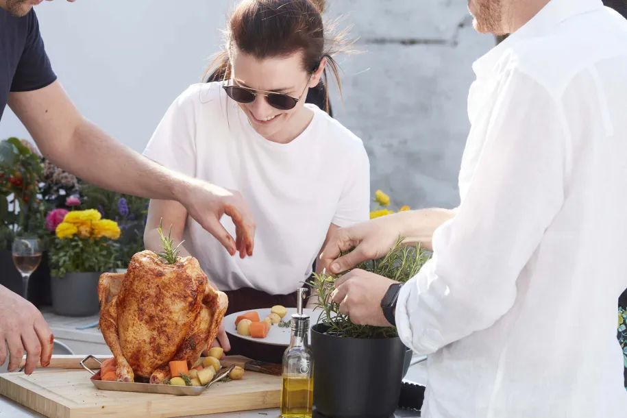 Barbecook kyllingholder til grill
